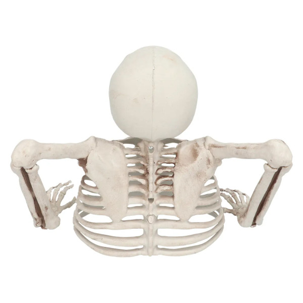 Dekorace „Kostra z hrobu“, 20 cm