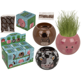 Grow-a-head – hospodářská zvířata