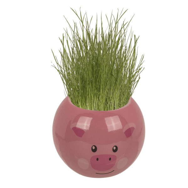 Grow-a-head – hospodářská zvířata