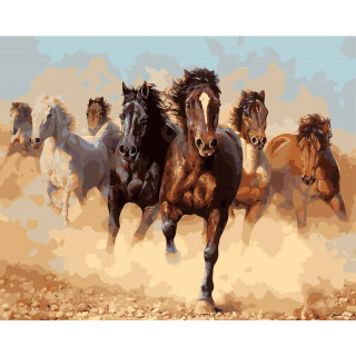 Malování podle čísel "Koně" (40x50cm)