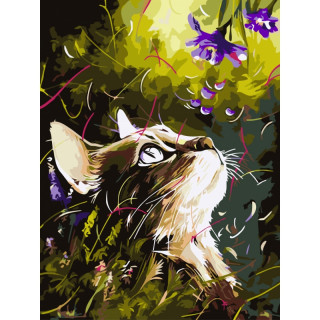 Malování podle čísel "Snící kočka" (30x40cm)