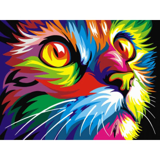 Malování podle čísel "Barevná kočka" (30x40cm)