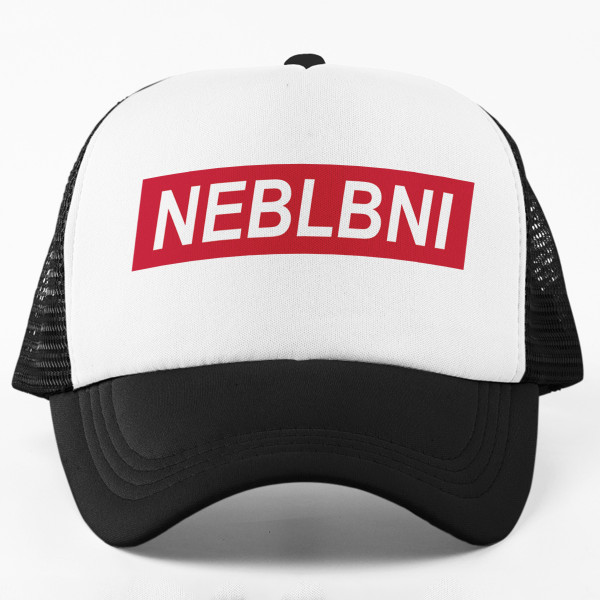 Kšiltovka "Neblbni"