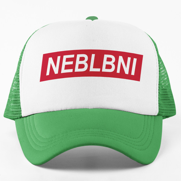 Kšiltovka "Neblbni"