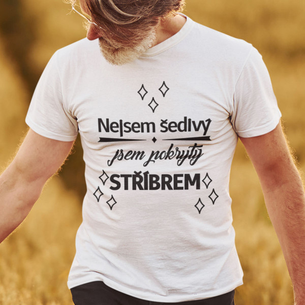 Triško "Nejsem šedivý"