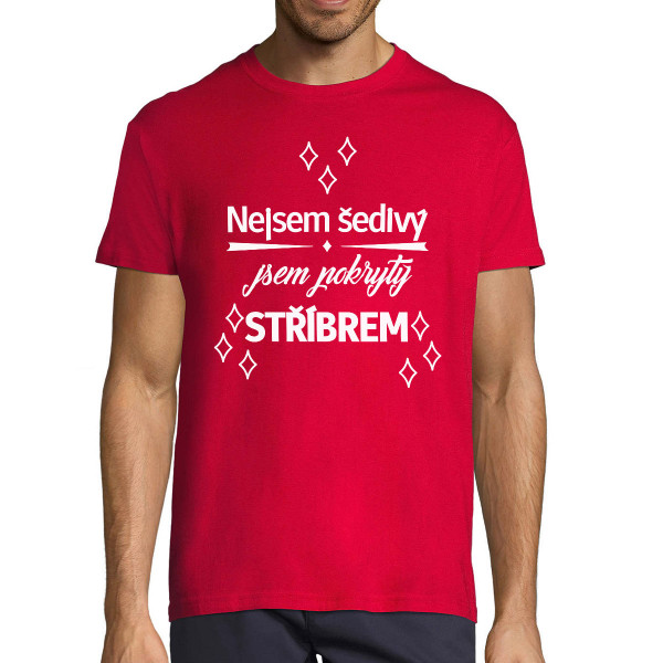 Triško "Nejsem šedivý"