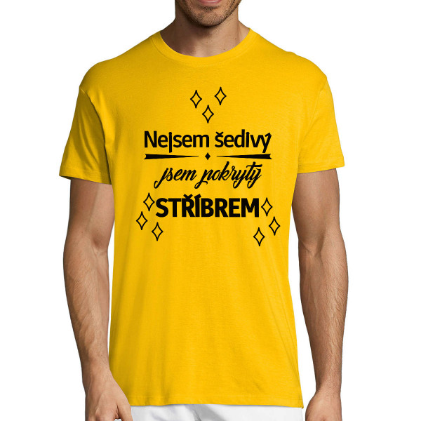 Triško "Nejsem šedivý"